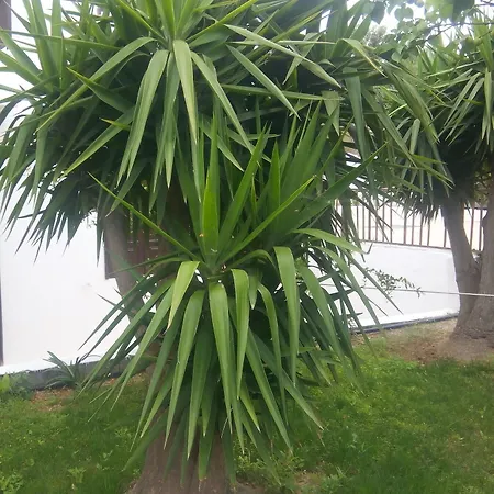 Sirocco * Hersonissos (Crete)