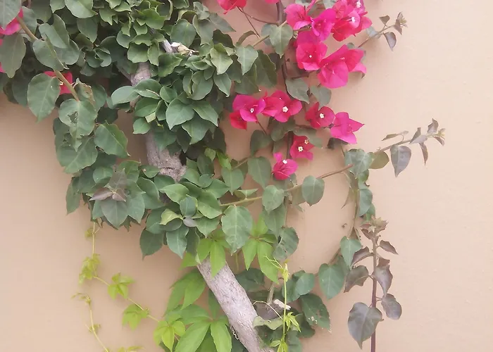 فندق Sirocco خيرسونِسوس